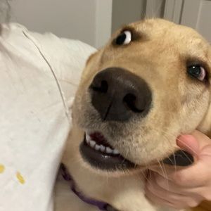 Meet your Posher, Ashly